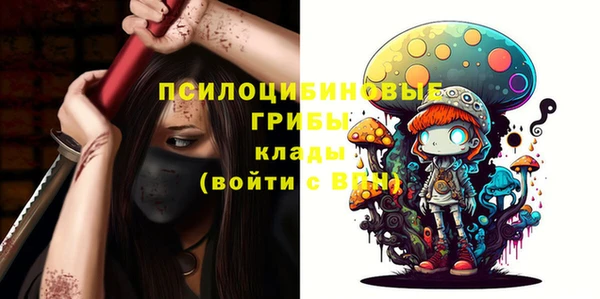 apvp Алексеевка