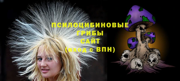 apvp Алексеевка