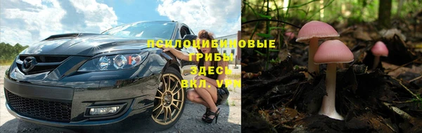 apvp Алексеевка