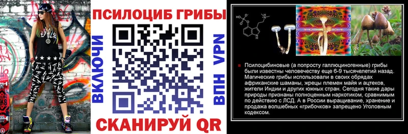 Псилоцибиновые грибы Psilocybine cubensis  Минусинск 